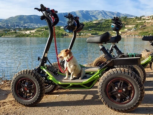 ריידר הגולן